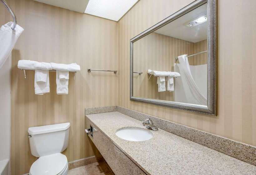 فندق Comfort Suites Stevens Point