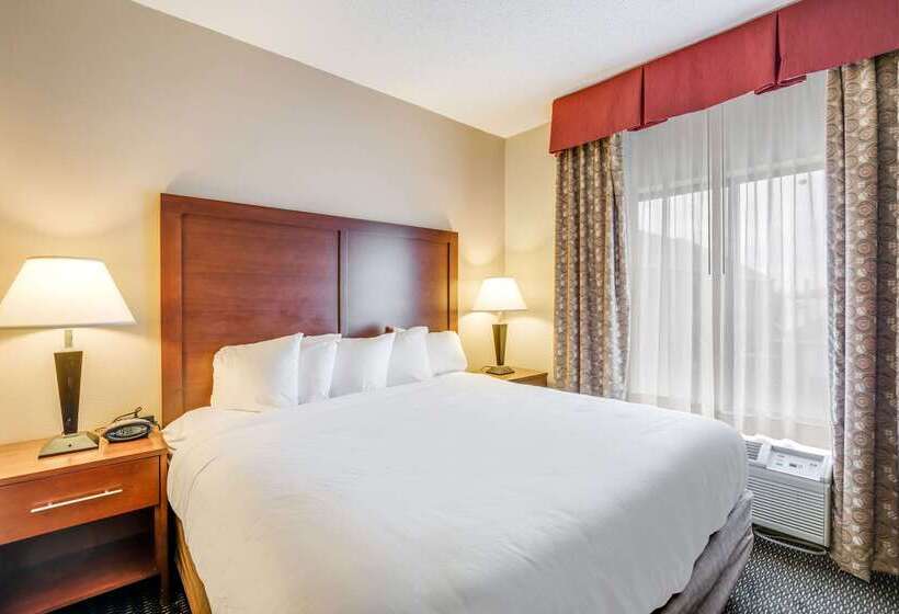 فندق Comfort Suites Stevens Point