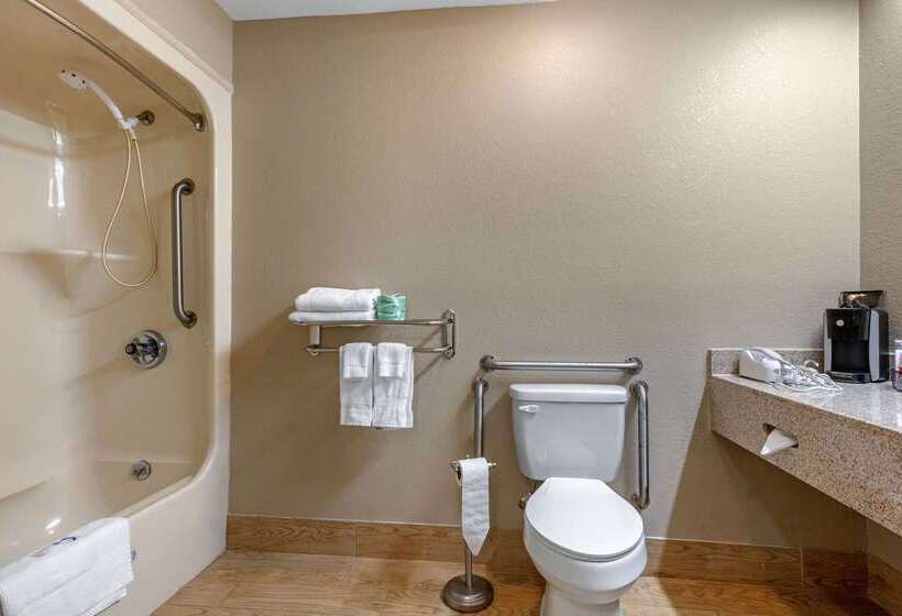 酒店 Rodeway Inn Tuscaloosa Near University