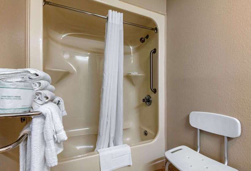 هتل Rodeway Inn Tuscaloosa Near University