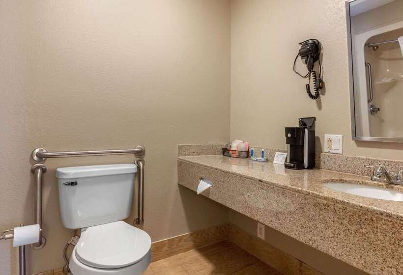 هتل Rodeway Inn Tuscaloosa Near University