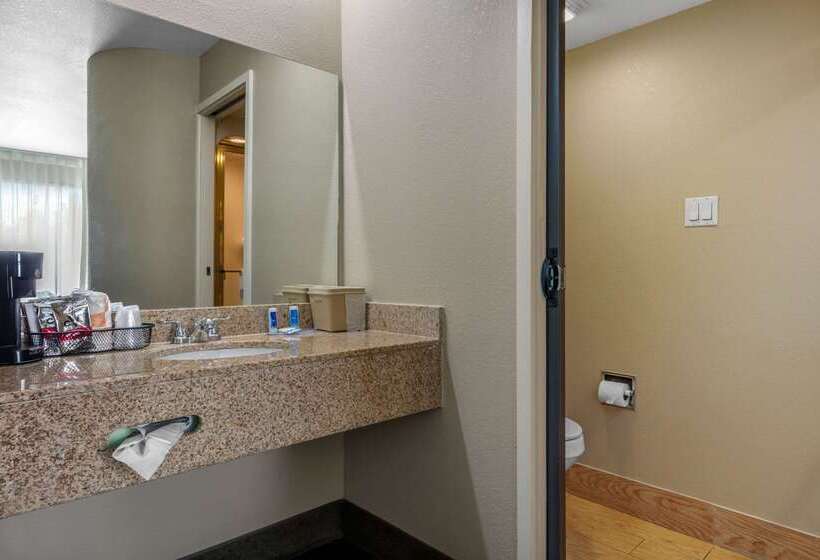 酒店 Rodeway Inn Tuscaloosa Near University