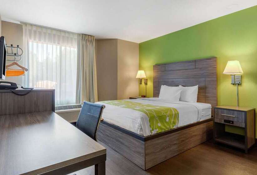 酒店 Rodeway Inn Tuscaloosa Near University