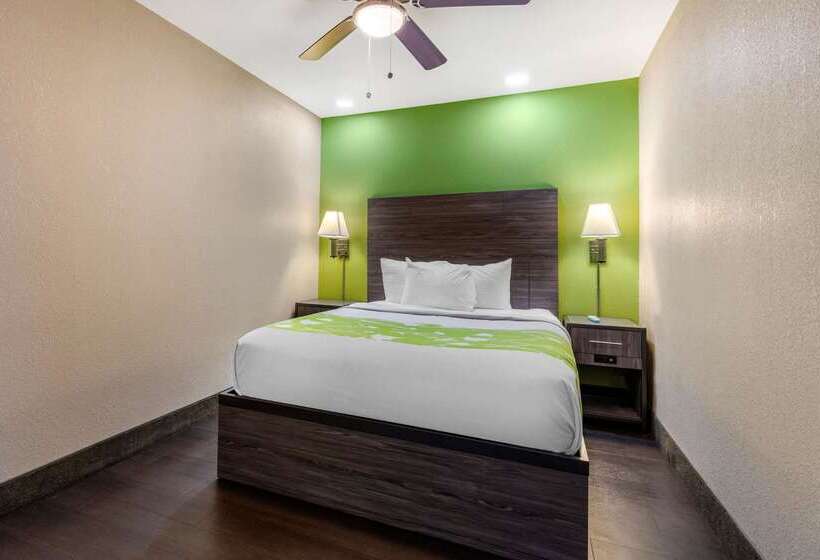 酒店 Rodeway Inn Tuscaloosa Near University