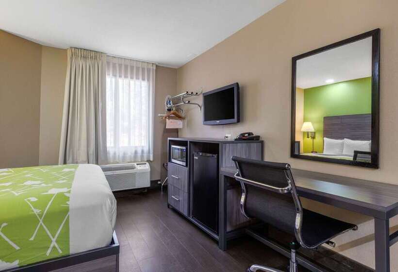 酒店 Rodeway Inn Tuscaloosa Near University