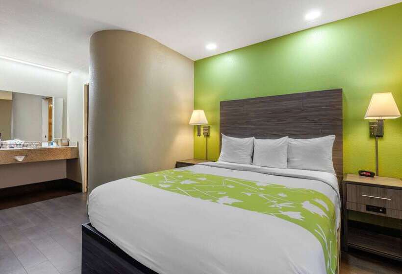 酒店 Rodeway Inn Tuscaloosa Near University