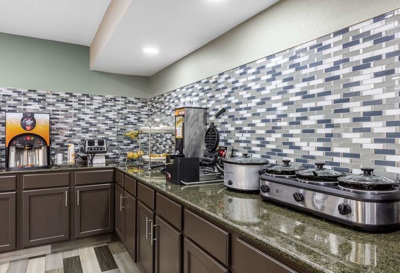 酒店 Rodeway Inn Tuscaloosa Near University