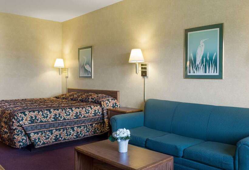 فندق Rodeway Inn