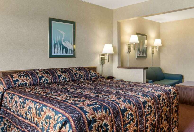 فندق Rodeway Inn