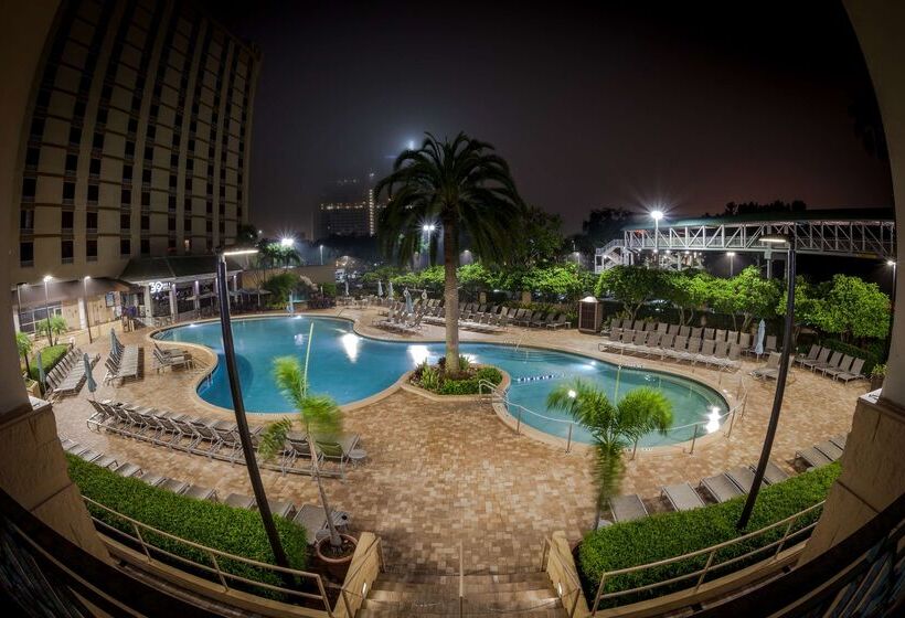 ホテル Rosen Plaza