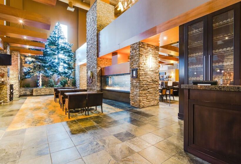 בית מלון כפרי Sawridge Inn And Conference Centre Edmonton South