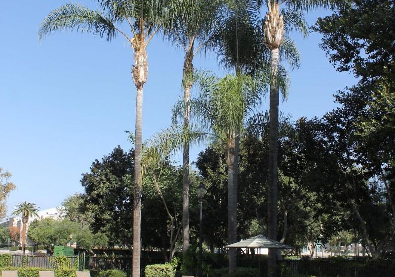 فندق Sheraton Fairplex Suites & Conference Center