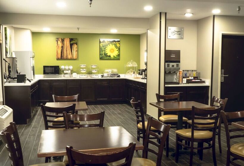 ホテル Sleep Inn & Suites Omaha Airport