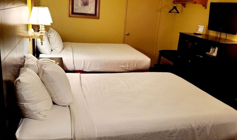 בית מלון כפרי Sweet Dream Inn