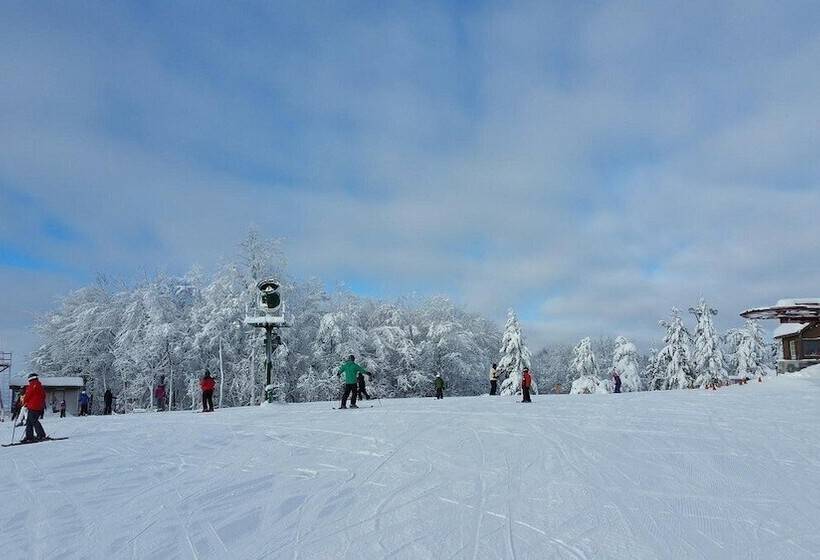 فندق Terrace Inn And 1911 Restaurant