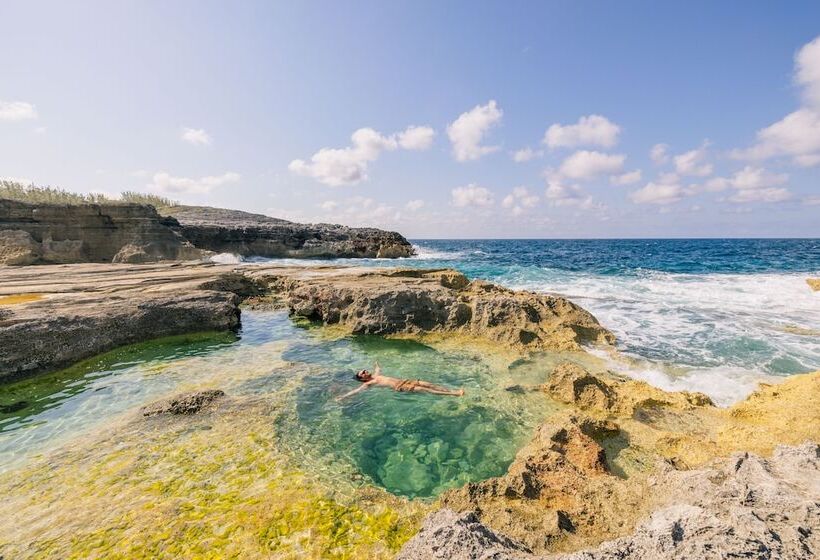 Отель The Cove Eleuthera