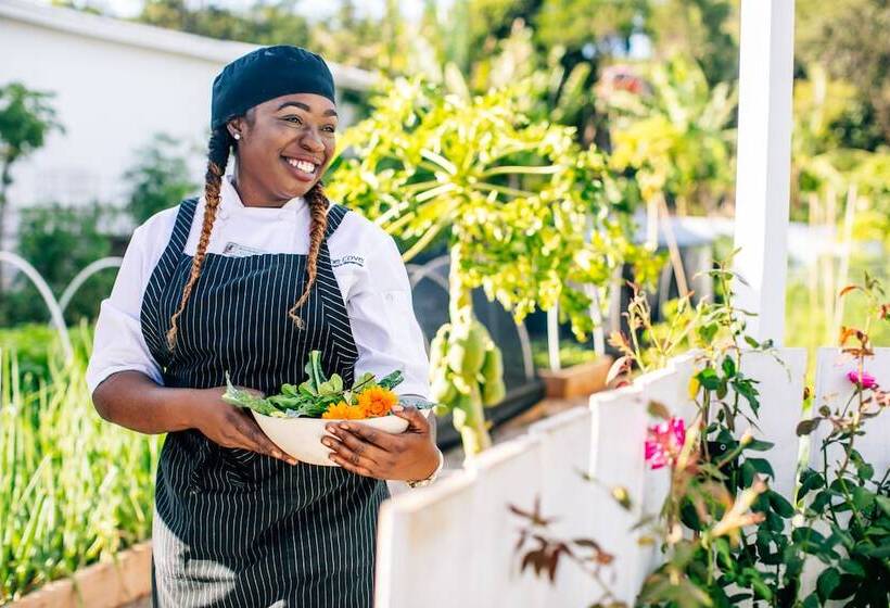 Отель The Cove Eleuthera