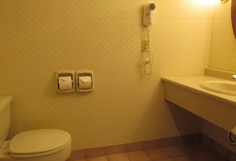 호텔 The Fredericton Inn