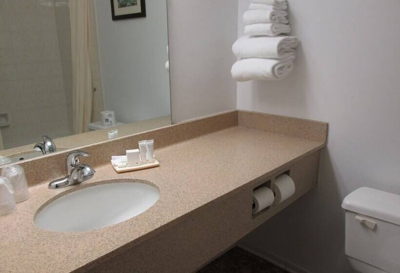 호텔 The Fredericton Inn