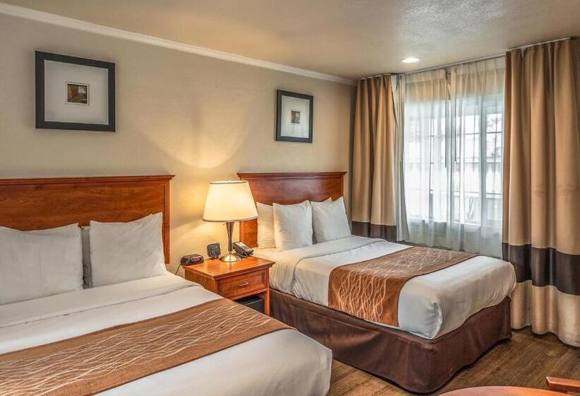 酒店 The Inn At 1252 Monterey