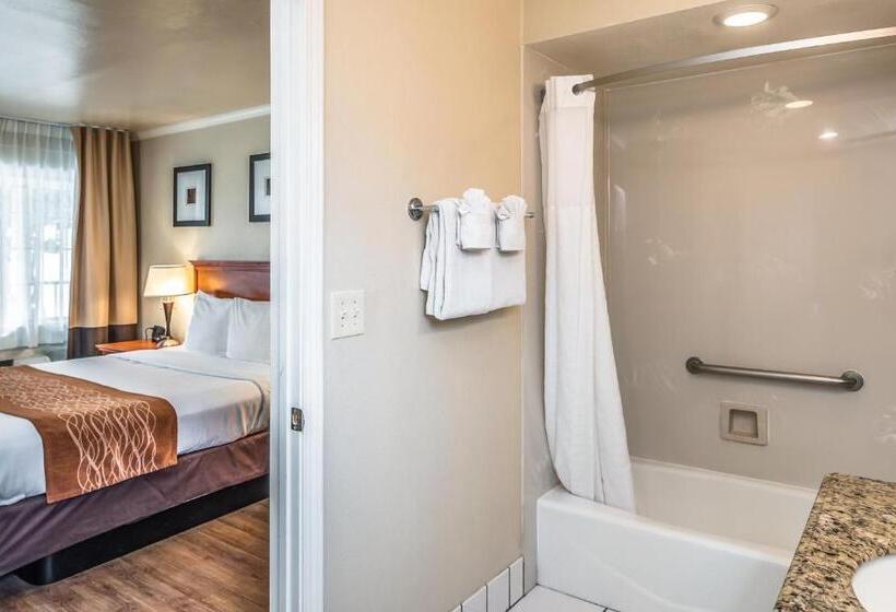 酒店 The Inn At 1252 Monterey