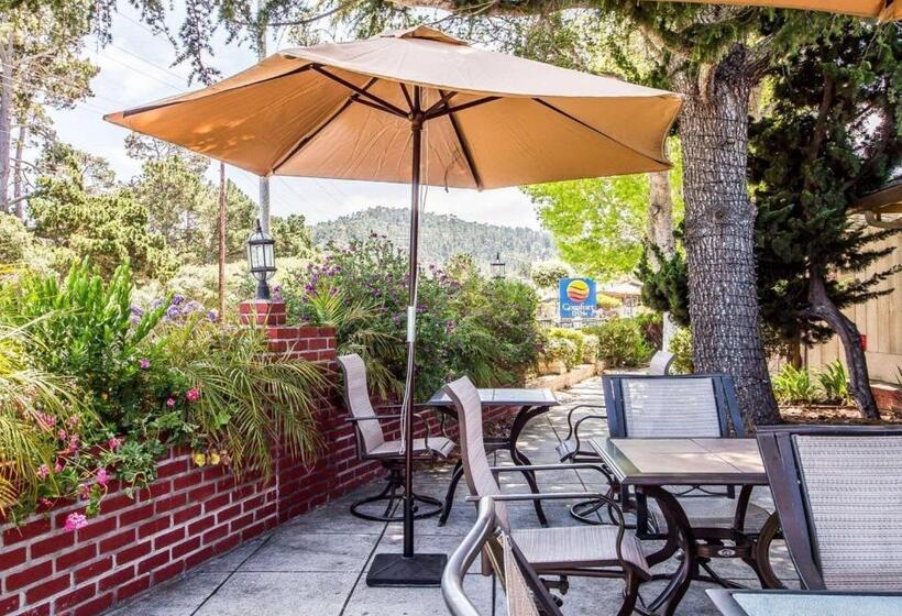 酒店 The Inn At 1252 Monterey