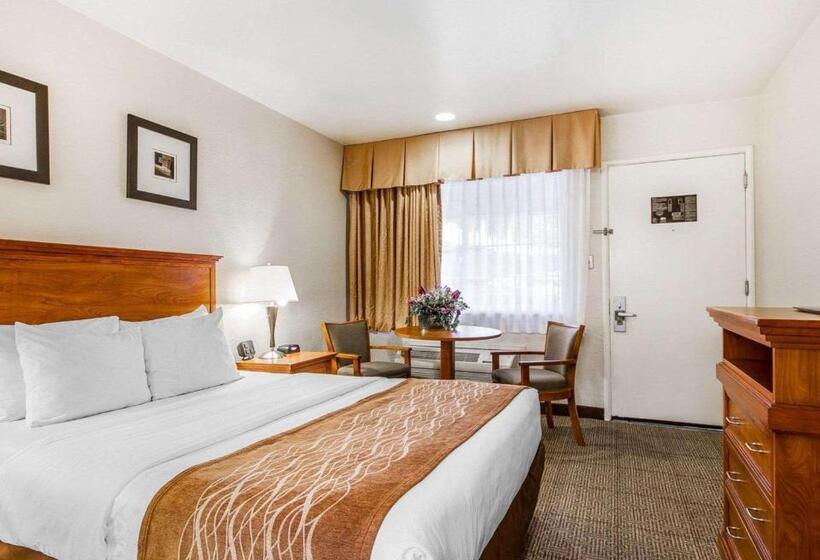 酒店 The Inn At 1252 Monterey