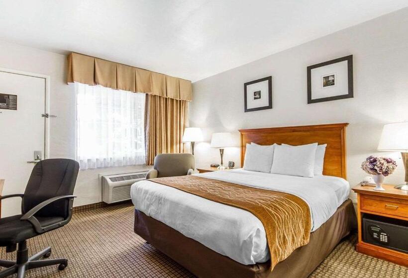 酒店 The Inn At 1252 Monterey