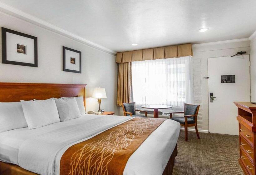 فندق The Inn At 1252 Monterey