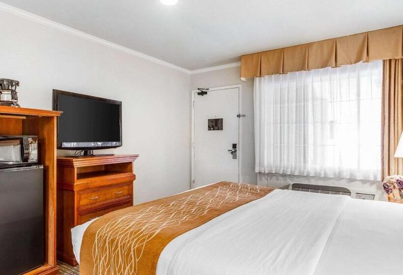 酒店 The Inn At 1252 Monterey