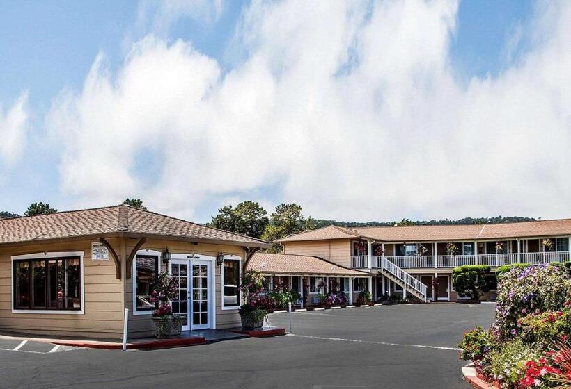 酒店 The Inn At 1252 Monterey