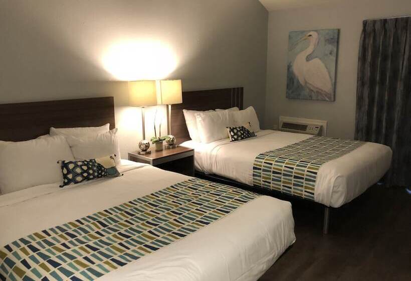 בית מלון כפרי Sand Dollar Inn