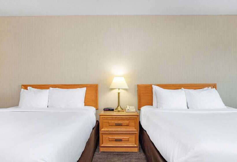 فندق Travelodge By Wyndham Bridgewater