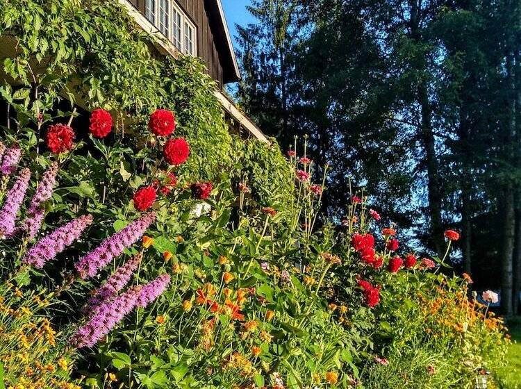 فندق Wedgwood Manor And Glamping Retreat