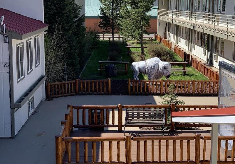 فندق White Buffalo