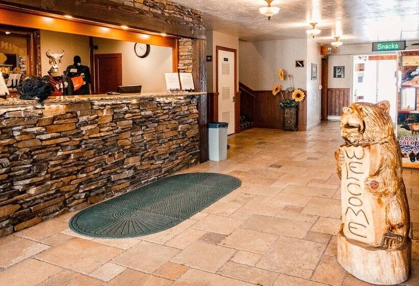 فندق White Buffalo