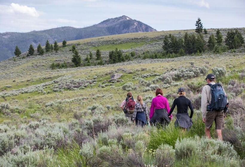 فندق White Buffalo