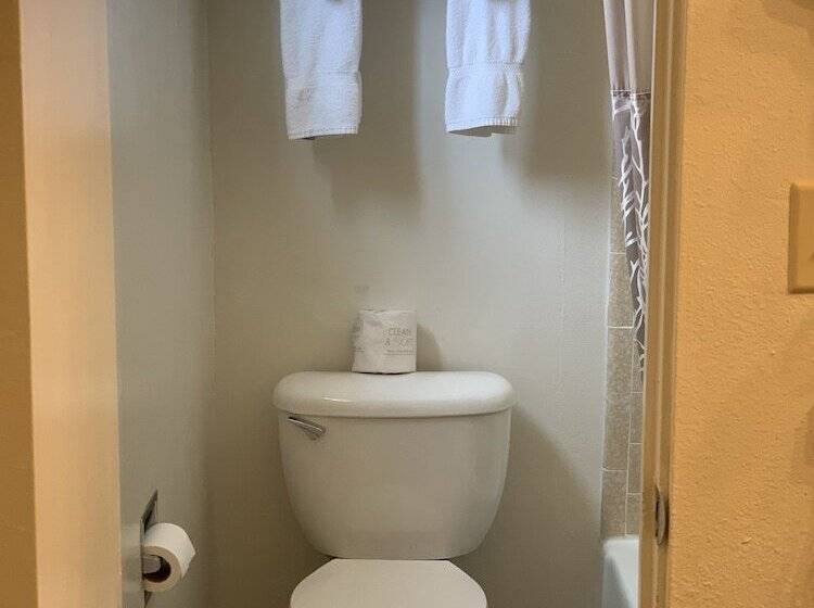 فندق White Buffalo