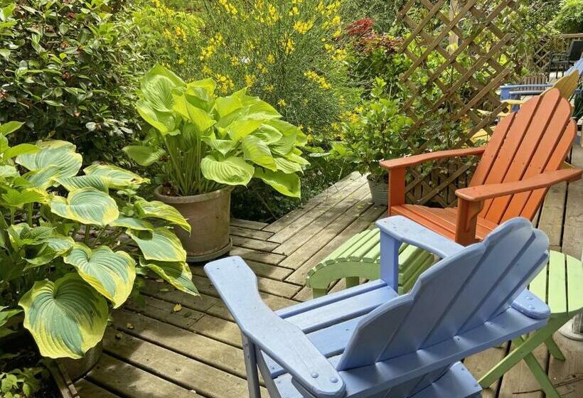 Hotel Wisteria Guest House