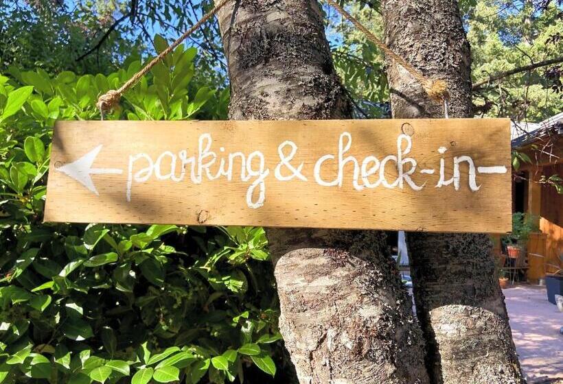 Hotel Wisteria Guest House