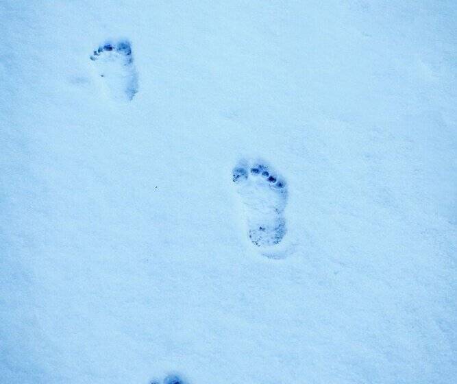 מוטל Barefoot Villas And Retreat