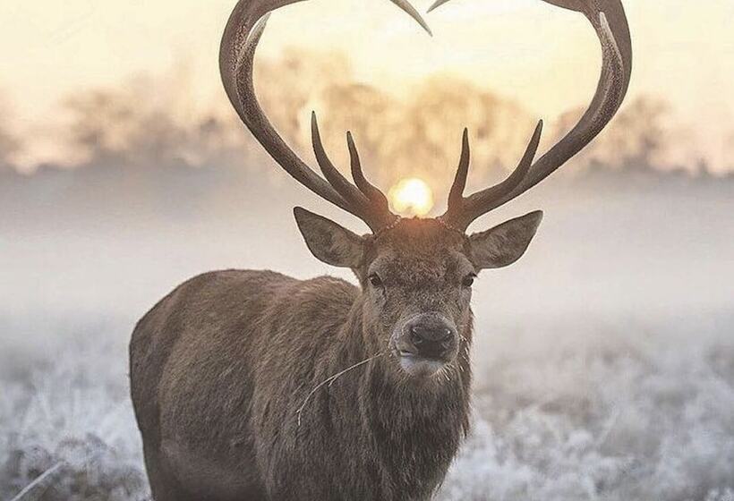 מוטל Barefoot Villas And Retreat