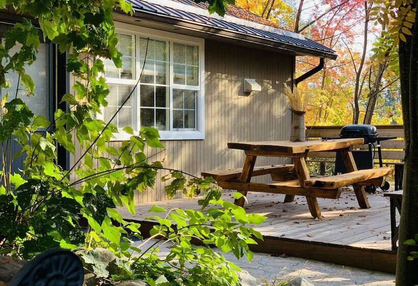 מוטל Barefoot Villas And Retreat