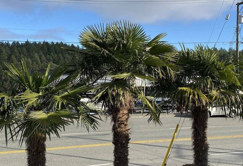 모텔 Buccaneer Inn