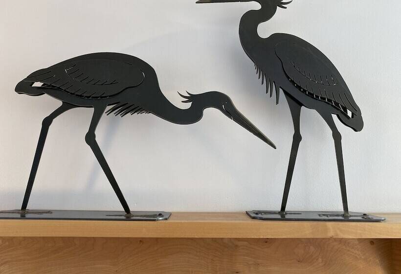 모텔 Buccaneer Inn