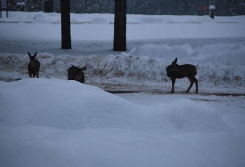 מוטל Civilia Lakeside By Civilia Golf Retreat