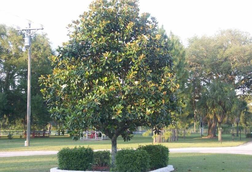 فندق على الطريق Deerwood Inn And Madison Campground