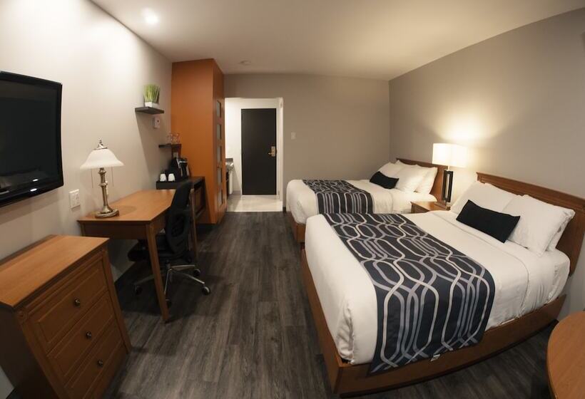 מוטל Le Voyageur