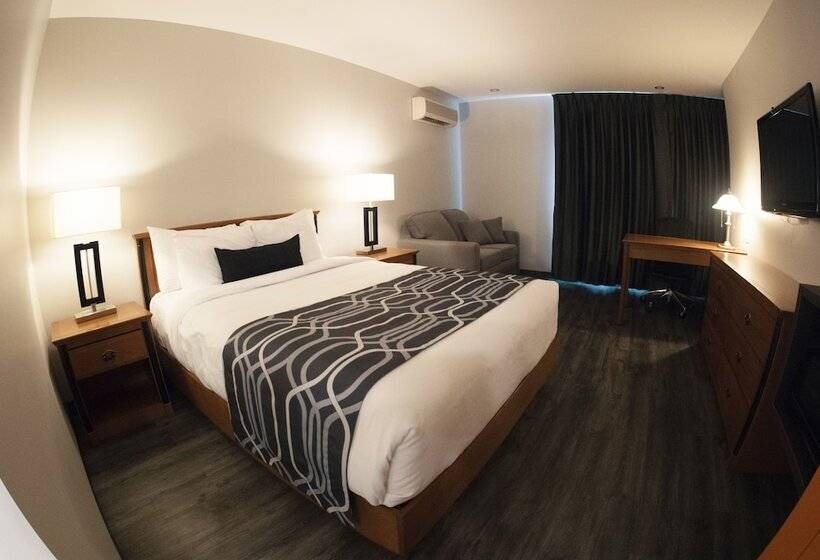 汽车旅馆  Le Voyageur