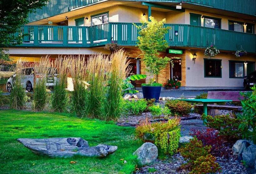 汽车旅馆  Robin Hood Inn And Suites